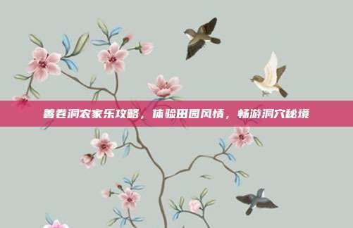 善卷洞农家乐攻略，体验田园风情，畅游洞穴秘境