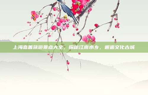 上海嘉善旅游景点大全，探秘江南水乡，邂逅文化古城