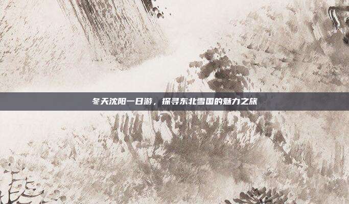 冬天沈阳一日游，探寻东北雪国的魅力之旅