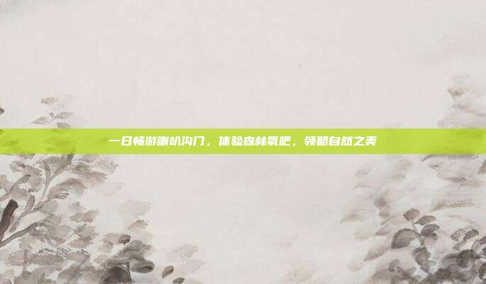 一日畅游喇叭沟门，体验森林氧吧，领略自然之美