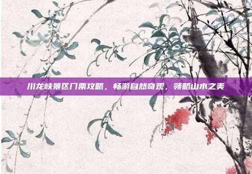 川龙峡景区门票攻略，畅游自然奇观，领略山水之美