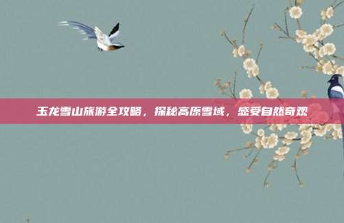 玉龙雪山旅游全攻略，探秘高原雪域，感受自然奇观