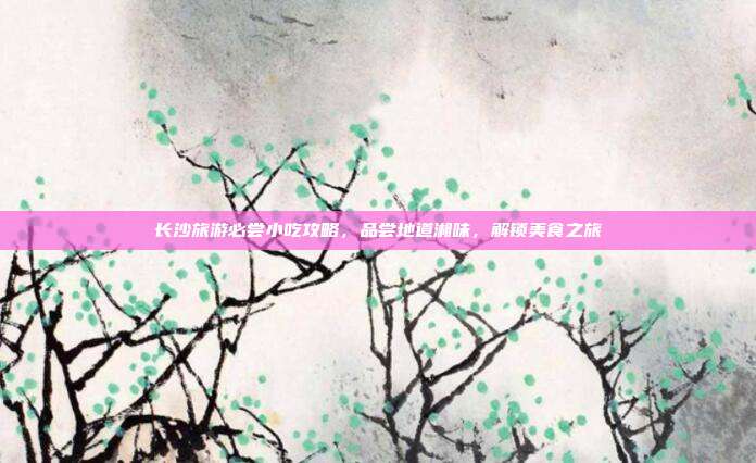 长沙旅游必尝小吃攻略，品尝地道湘味，解锁美食之旅