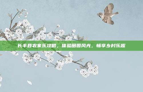 长丰县农家乐攻略，体验田园风光，畅享乡村乐趣