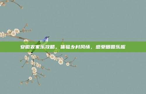 安徽农家乐攻略，体验乡村风情，感受田园乐趣