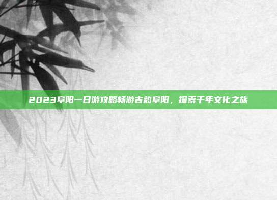 2023阜阳一日游攻略畅游古韵阜阳，探索千年文化之旅