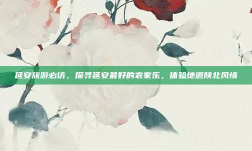 延安旅游必访，探寻延安最好的农家乐，体验地道陕北风情