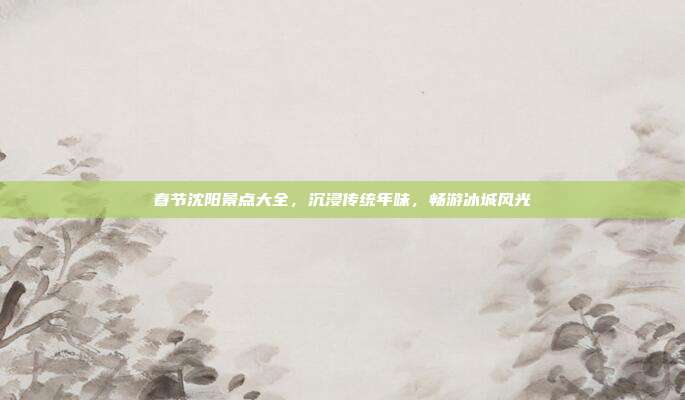 春节沈阳景点大全，沉浸传统年味，畅游冰城风光