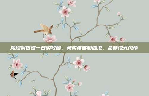 深圳到香港一日游攻略，畅游维多利亚港，品味港式风情