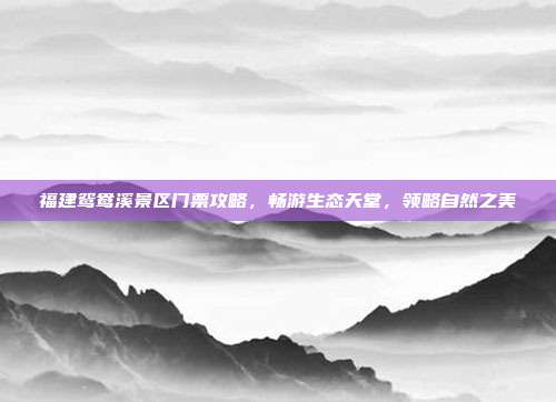 福建鸳鸯溪景区门票攻略，畅游生态天堂，领略自然之美