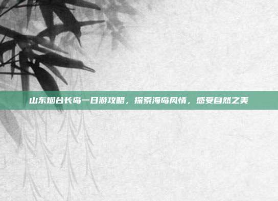 山东烟台长岛一日游攻略，探索海岛风情，感受自然之美