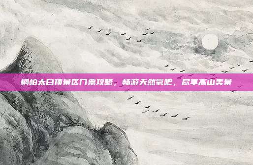 桐柏太白顶景区门票攻略，畅游天然氧吧，尽享高山美景
