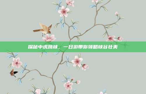 探秘中虎跳峡，一日游带你领略峡谷壮美