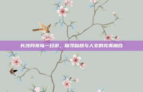 长沙月亮岛一日游，探寻自然与人文的完美融合