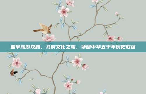 曲阜旅游攻略，孔府文化之旅，领略中华五千年历史底蕴