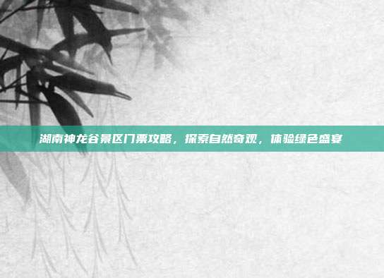 湖南神龙谷景区门票攻略，探索自然奇观，体验绿色盛宴
