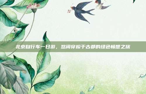 北京自行车一日游，悠闲穿梭于古都的绿色畅想之旅