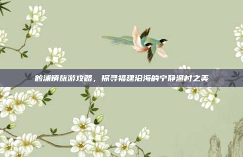 鹤浦镇旅游攻略，探寻福建沿海的宁静渔村之美