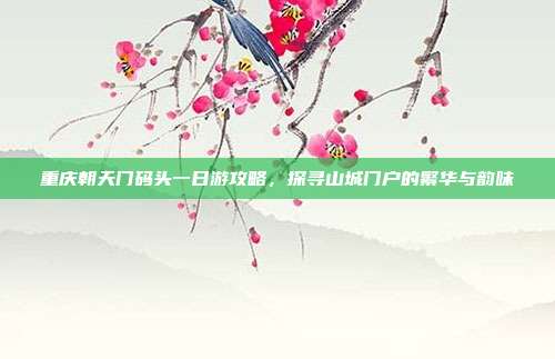 重庆朝天门码头一日游攻略，探寻山城门户的繁华与韵味