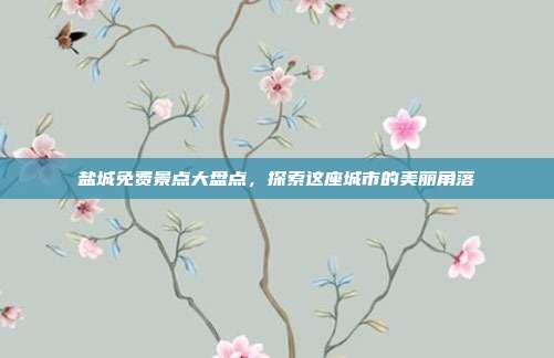盐城免费景点大盘点，探索这座城市的美丽角落