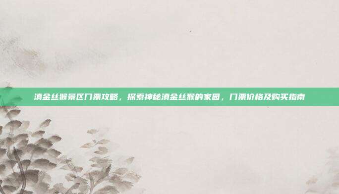 滇金丝猴景区门票攻略，探索神秘滇金丝猴的家园，门票价格及购买指南