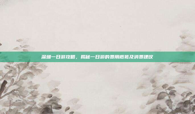 深圳一日游攻略，揭秘一日游的费用概览及消费建议