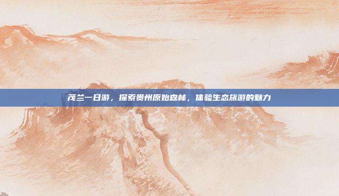 茂兰一日游，探索贵州原始森林，体验生态旅游的魅力
