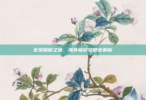 全球探秘之旅，海外旅游攻略全解析