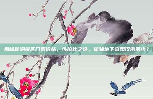 揭秘秘洞景区门票价格，性价比之选，体验地下奇观仅需多少？