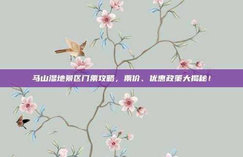 马山湿地景区门票攻略，票价、优惠政策大揭秘！