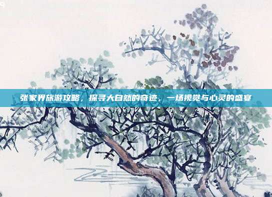 张家界旅游攻略，探寻大自然的奇迹，一场视觉与心灵的盛宴