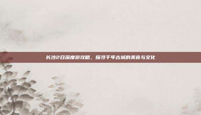 长沙2日深度游攻略，探寻千年古城的美食与文化