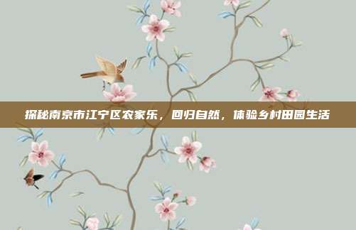 探秘南京市江宁区农家乐，回归自然，体验乡村田园生活