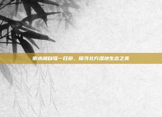 衡水湖自驾一日游，探寻北方湿地生态之美