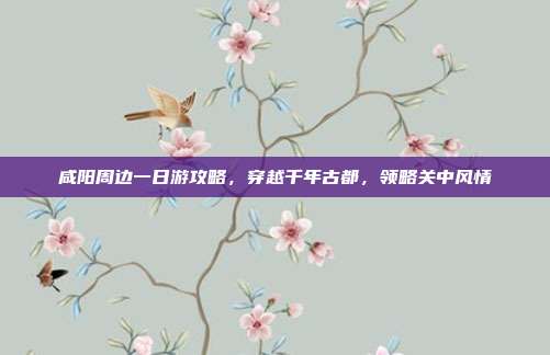 咸阳周边一日游攻略，穿越千年古都，领略关中风情