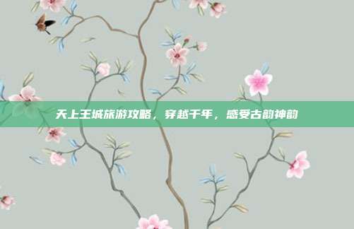 天上王城旅游攻略，穿越千年，感受古韵神韵