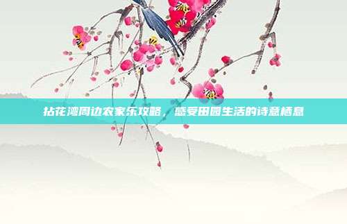 拈花湾周边农家乐攻略，感受田园生活的诗意栖息