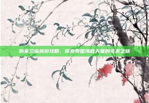 斯米兰岛旅游攻略，探索泰国海底天堂的完美之旅