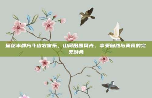 探秘丰都方斗山农家乐，山间田园风光，享受自然与美食的完美融合