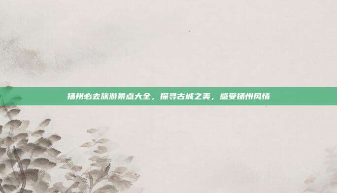 扬州必去旅游景点大全，探寻古城之美，感受扬州风情