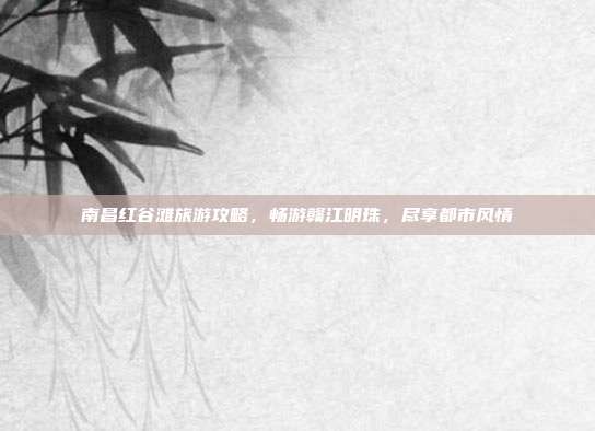 南昌红谷滩旅游攻略，畅游赣江明珠，尽享都市风情