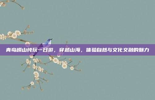 青岛崂山纯玩一日游，穿越山海，体验自然与文化交融的魅力