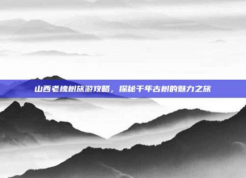 山西老槐树旅游攻略，探秘千年古树的魅力之旅