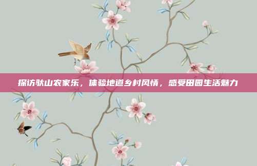 探访驮山农家乐，体验地道乡村风情，感受田园生活魅力