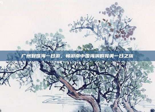 广州到珠海一日游，畅游南中国海滨的完美一日之旅