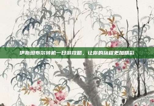 伊斯坦布尔转机一日游攻略，让你的旅程更加精彩