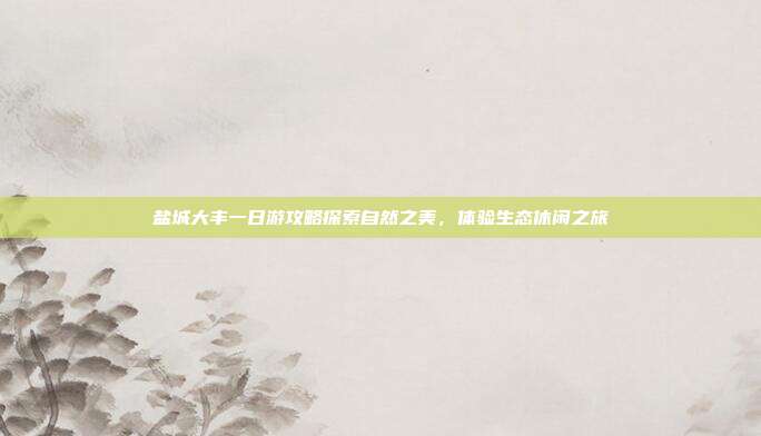 盐城大丰一日游攻略探索自然之美，体验生态休闲之旅