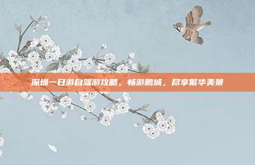 深圳一日游自驾游攻略，畅游鹏城，尽享繁华美景