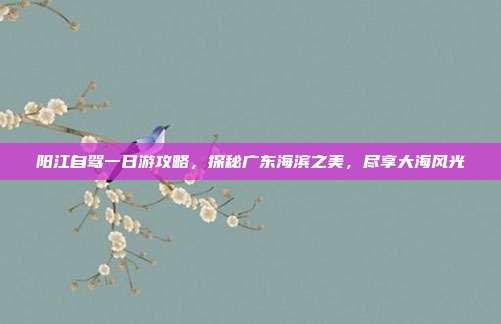 阳江自驾一日游攻略，探秘广东海滨之美，尽享大海风光