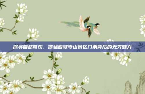探寻自然奇观，体验西峡寺山景区门票背后的无穷魅力